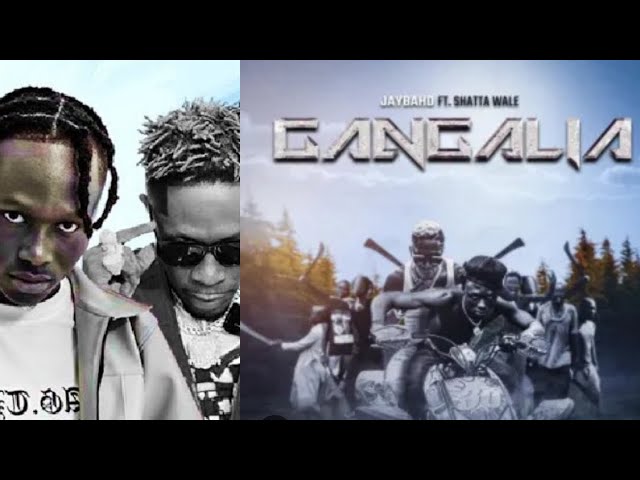 JAY BAHD ft SHATTA WALE (Gangalia reaction)🔥🔥