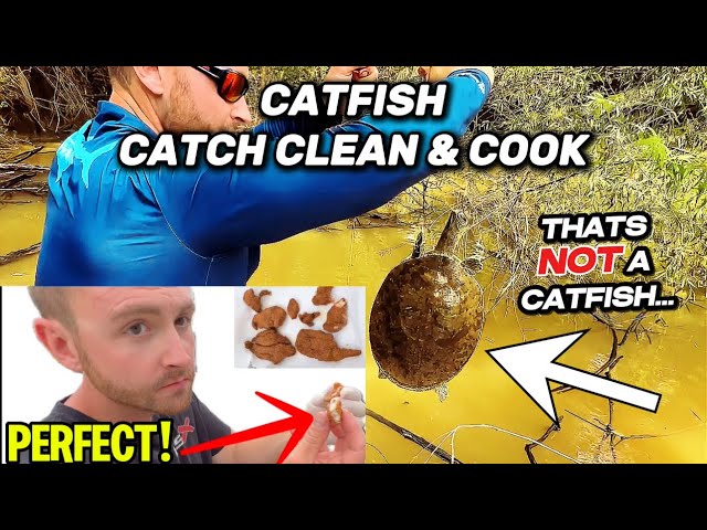 Catfish Catch & Cook | TURTLE ON MY JUG LINE