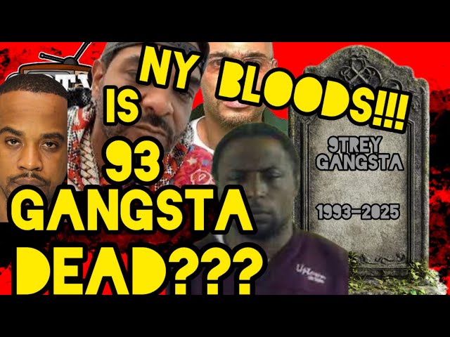 OG HOLLYWOOD EXPOSES WHY HE WON’T REACT TO 050 CHYNA BRIM video on 93 GANGSTA A DUBB!!!