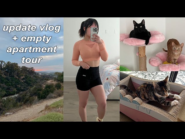 hi, i'm back | big update, empty apartment tour, and adopting another kitten!