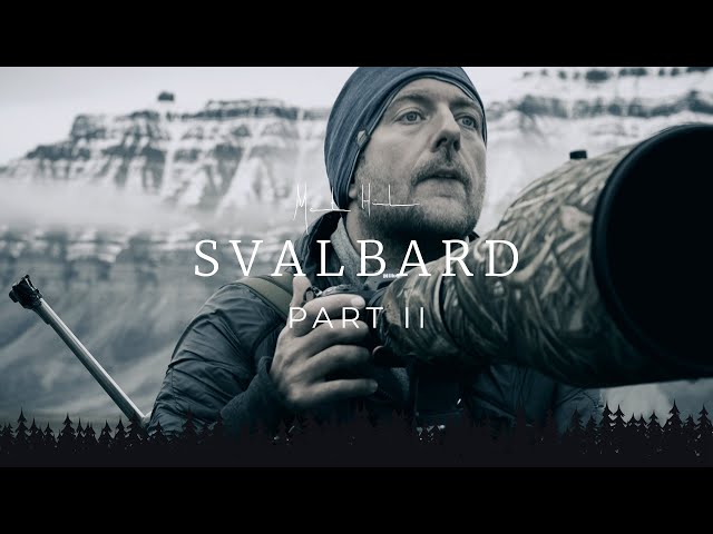 SVALBARD Photo Adventure - PART 2 | wildlife photography behind the scenes