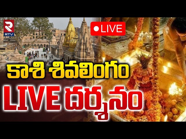 Darshan From Kashi Vishwanath Temple🔴Live : కాశి శివలింగం దర్శనం | kashi shiva | Varanasi | RTV