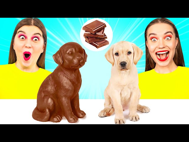 Real Food vs Chocolate Food Challenge #5 by DaRaDa Challenge