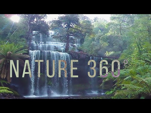 Virtual Nature 360° - Nature Meditation for VR Quest