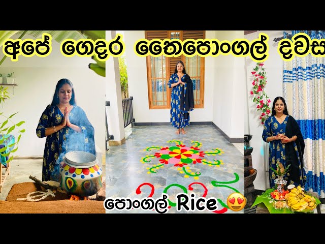 තෛපොංගල් දවසෙ ගමේ හැමෝටම අපෙන් රස කෑම || Happy Thai Pongal || My Diary vlogs