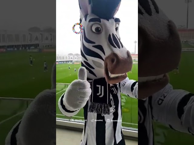 🦓 J la cebra manda saludos al #PuebloJuve