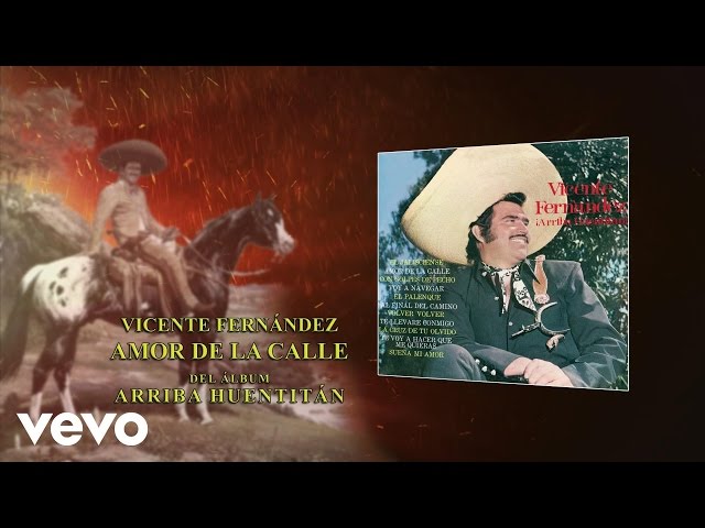 Vicente Fernández - Amor de la Calle (Audio)