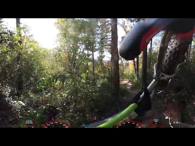 Theodore Wirth Mountain Bike Trails 360* 4k