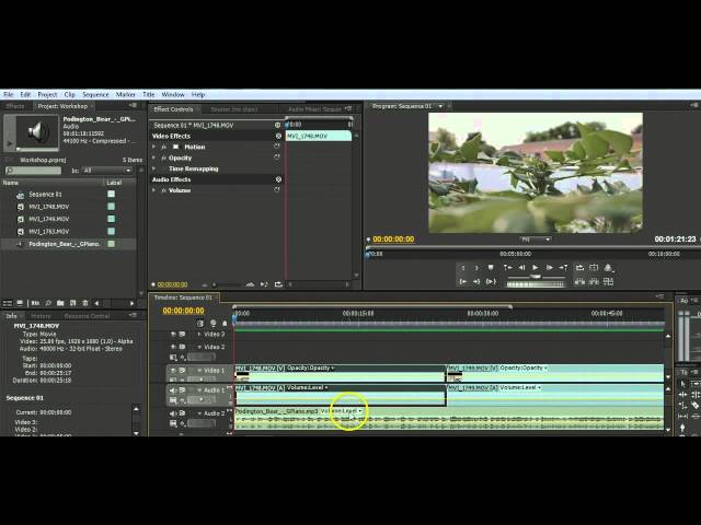 Introducing Adobe Premiere Pro CS4: Basic Video Editing Tutorial