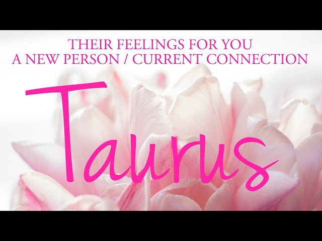 TAURUS love tarot ♉️ This Connection Feels Like Rollercoaster Taurus