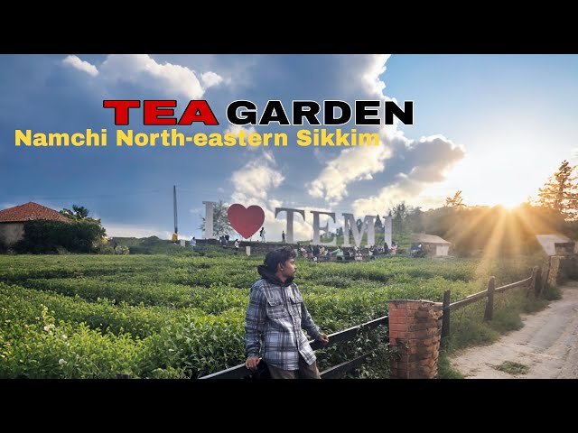 Temi Tea Garden Beautiful Place // Gangtok Mein Hua RC Card seize 🥲 #sam390 #temiteagarden #sikkim