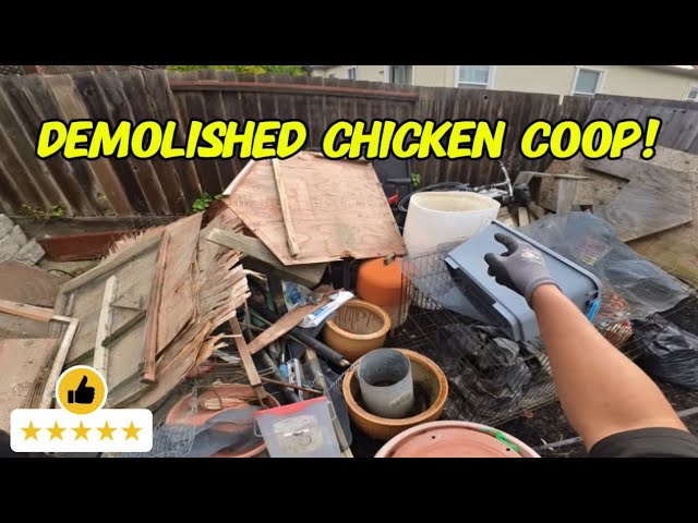 Demolished Chicken Coop Removal In Windsor, Ca | Junk Removal Service