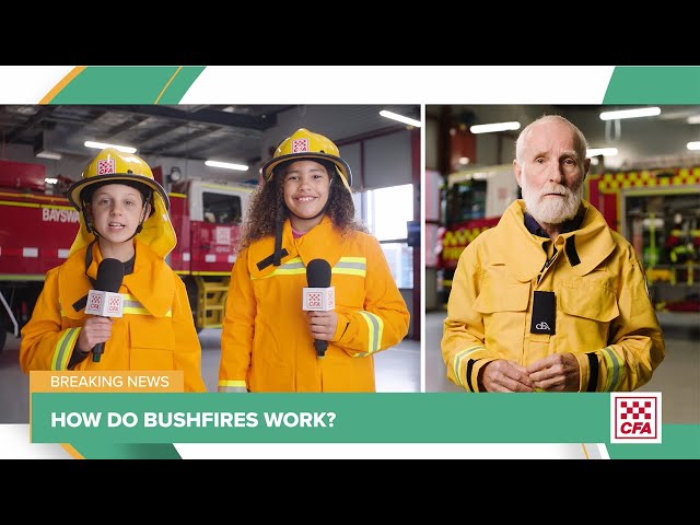 How do bushfires work?