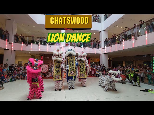 Chatswood Westfield👏 Lunar New Year Lion Dance Spectacle🦁🥁農曆新年🧧 🎉悉尼🇦🇺車士活商場醒獅滙演🔥 #舞狮 #liondance