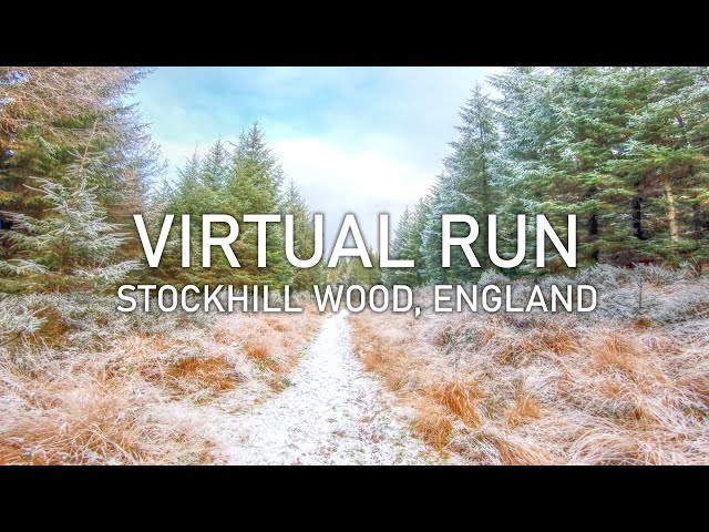 Virtual Run | Stockhill Wood, Mendip Hills in Winter | Treadmill Running Scenery