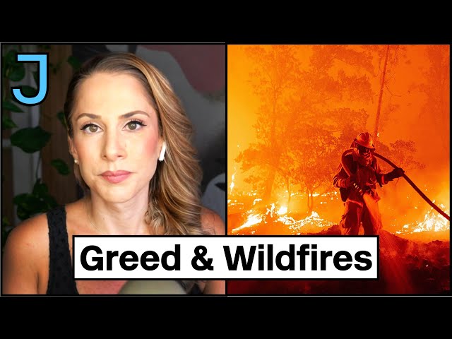 How Corporate Greed Led to the California Wildfires