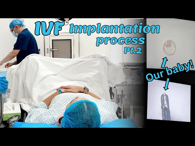 My IVF Journey: Implantation Process VLOG (Pt. 2) | Lisa Fiitt