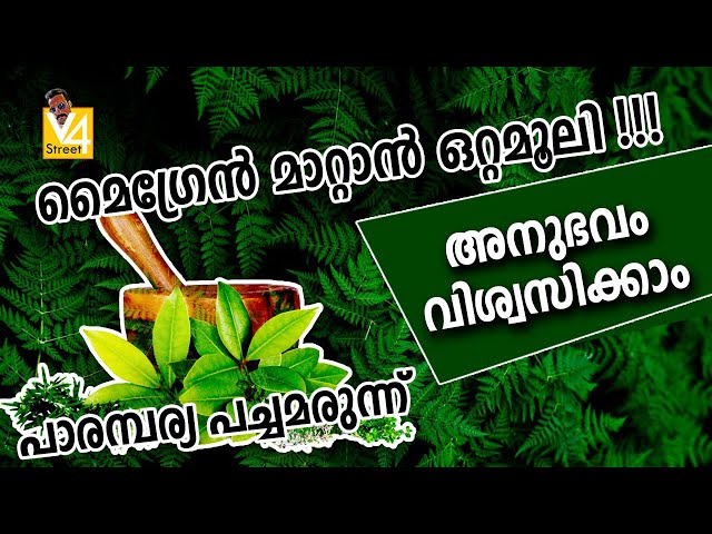 മൈഗ്രൈൻ തലവേദന എങ്ങനെ മാറ്റാം?| Migraine Treatment Malayalam | Migraine Headache