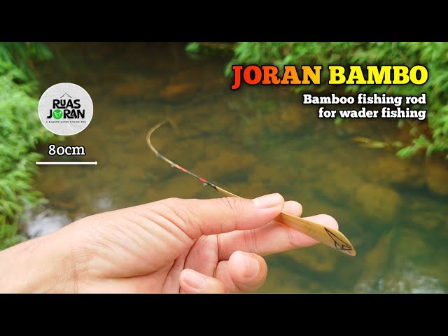 Review Joran wader bambu super lentur dari ruas joran - langsung tes mancing wader di air jernih