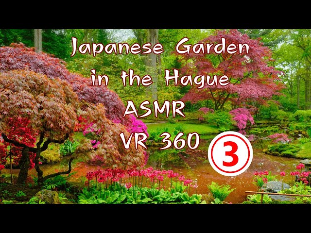 Japanese Garden in The Hague | Discovering the Beauty - VR 360 Experience