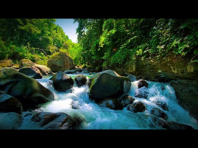 Soothing mountain stream Relaxation Sound river waterfall Sound flowing water in tropical forest