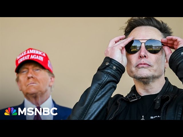 Musk appears to have 'quite a bit of power' as he and Trump purge USAID