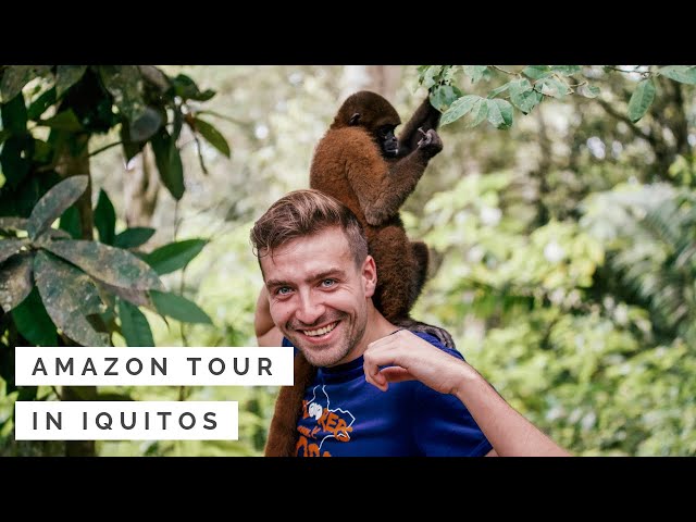 Iquitos Amazon Tour - Discover the Peruvian Rainforest!