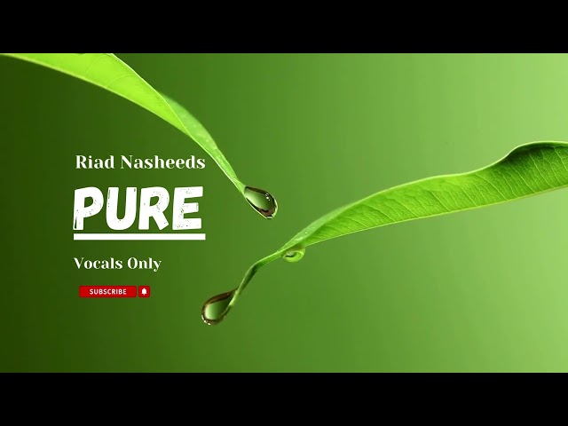 Pure | Islamic Background Music No Copyright | Humming Nasheed | Riad Nasheeds