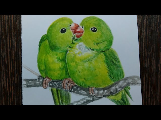 Watercolorpainting | for beginners| love birds   | #painting  #birddrawing  #watercolorpainting