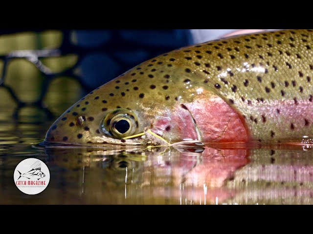 Hopper Season: Fly Fishing for Trout on the Williamson River