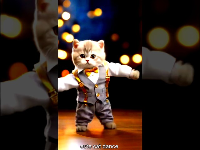 best Cat dance 😺😺💯💯😺😺👌👌 #viralvideo #trending #shortvideo #hiphop #remix #dance #love #dancer