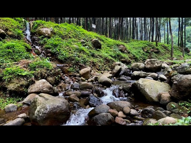 ASMR Sounds for Sleep: River Sounds for Relaxing and Meditation Peaceful Healing Zone L1