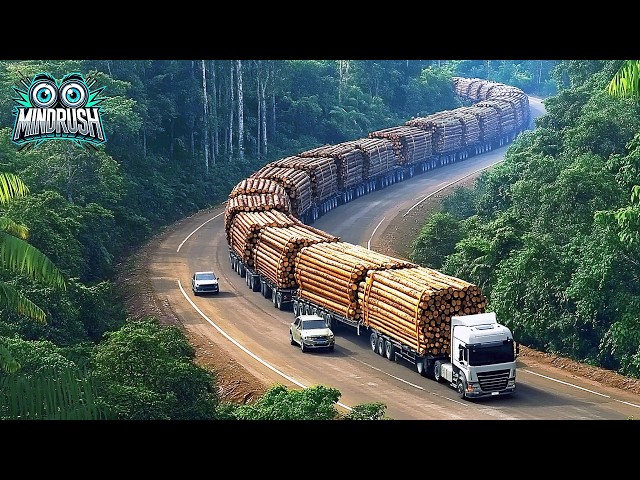 Jaw-Dropping Dangerous Transport Skill Operations Oversize Truck Biggest Heavy Equipment Machines #1