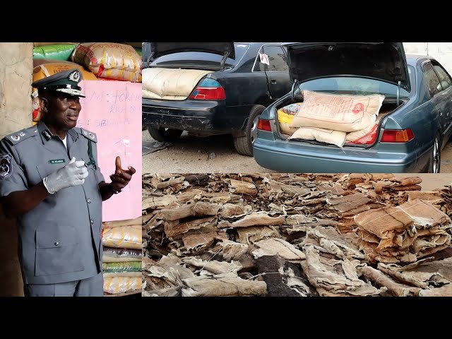 FOU ZONE "A" APPREHENDS DONKEY SKIN WORTH 4.2BN, 21 UNITS OF LUXURY CARS,  PARBOILED RICE