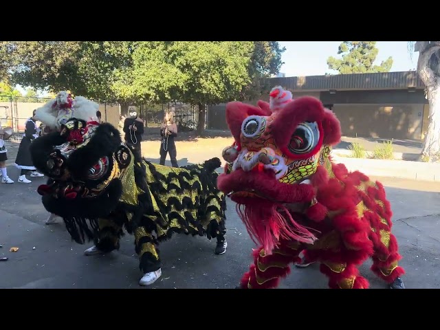 Mag + Western VSA Lion dance