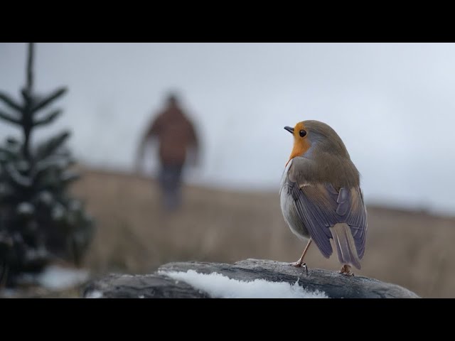 Sam Clegg - Send Me a Sign | Official 2024 Christmas Advert / Music Video Inspired by John Lewis Ads