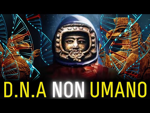 DNA Ibrido: Siamo Veramente Solo Umani?