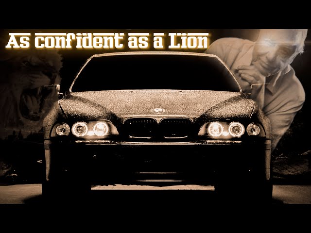 The King of Beasts: E39 M5 as Confident as a Lion