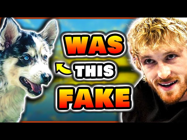 You're as Bad As Logan Paul, Here's Why