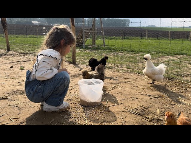 Une journée avec les animaux de la ferme ! 🐾