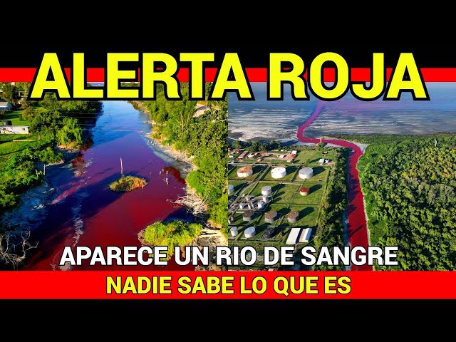 🔴ALERTA ROJA🔴APARECE UN RIO DE SANGRE🔴NADIE SABE LO QUE ES🔴LAS IMAGENES SON IMPACTANTES🔴