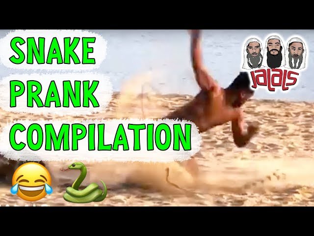 JALALS CRAZY SNAKE PRANK COMPILATION!