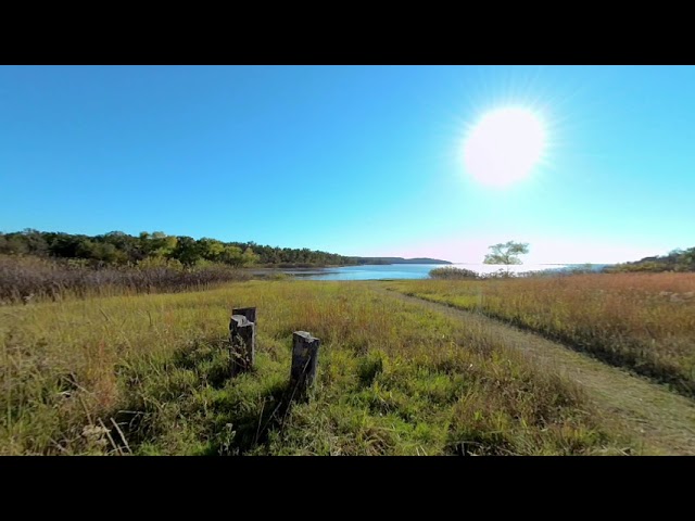 Camp grounds sounds to help you sleep