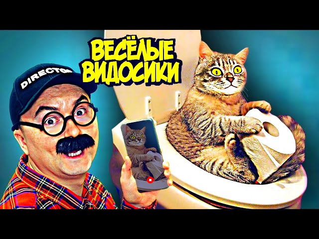 ВЕСЕЛЫЕ ВИДОСИКИ! 5 МИНУТ СМЕХА (ИЛИ НЕТ) 3 ВЫПУСК