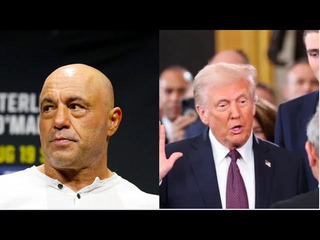 Joe Rogan Calls Trump Inauguration “Bizarre”