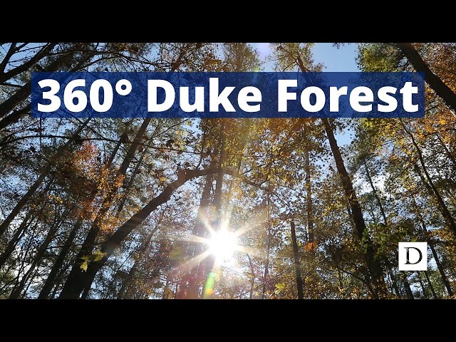 360° Duke Forest