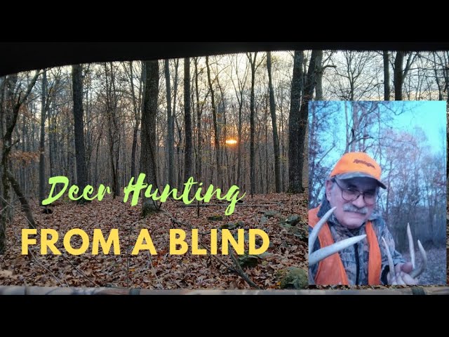 Deer Hunting from a Ground Blind