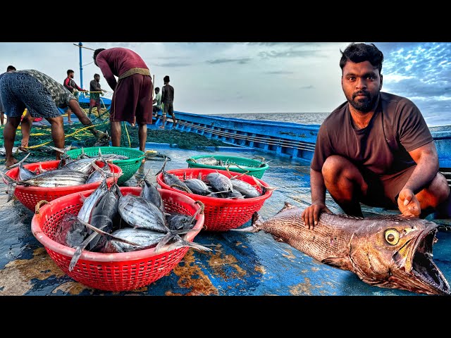 DAY 05 | Great Day! Today We Caught More Marlin Fish In The Deep Sea | S04-EP06 | Tamil