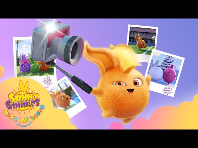 Sunny Bunnies Make Me Laugh - SELFIE | NEW SEASON 1 | Kids Cartoons