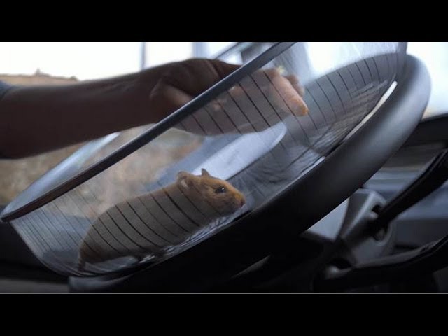 Volvo Trucks - The Hamster Stunt